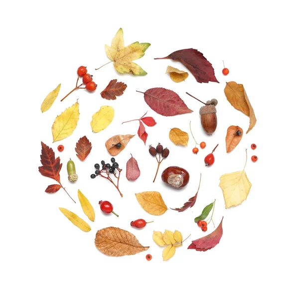 Ronde Gemaakt Van Herfstbladeren Natuurlijk Bosdecor Witte Achtergrond — Stockfoto