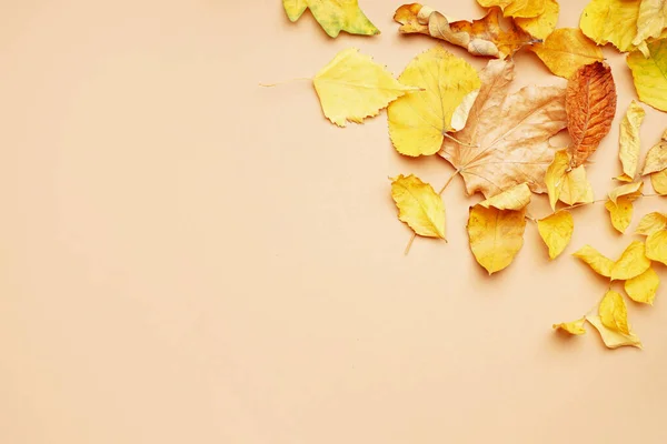 Yellow Autumn Leaves Color Background — Stock Photo, Image