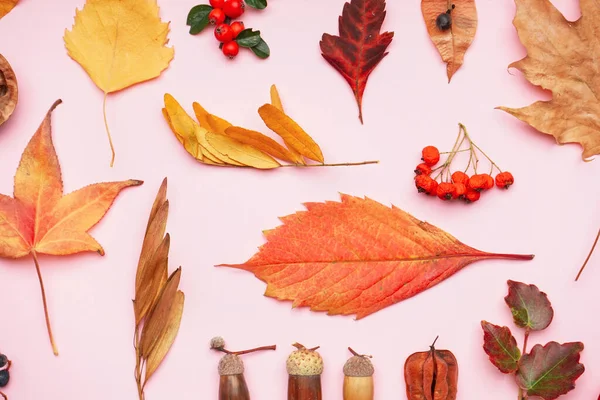 Composición Con Decoración Natural Del Bosque Sobre Fondo Rosa — Foto de Stock