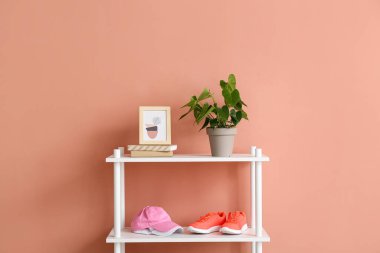 Raf ünitesi ev bitkisi, fotoğraf çerçevesi, kepler ve renkli duvarın yanındaki ayakkabılar