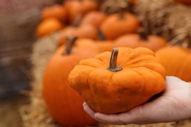 Çiftlikte turuncu balkabaklı kadın, yakın plan.