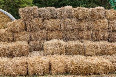 Çiftlikte saman yığınları
