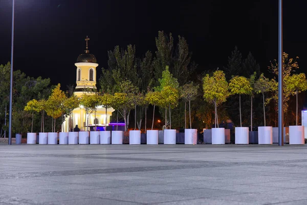 Uitzicht Prachtige Kerk Bomen Stad Nachts — Stockfoto