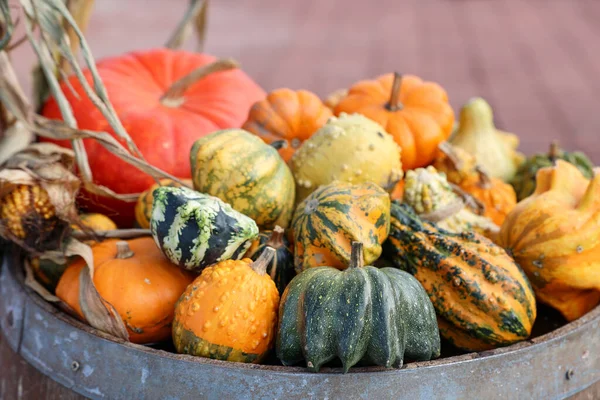 Barrel with fresh pumpkins at fall fair, closeup