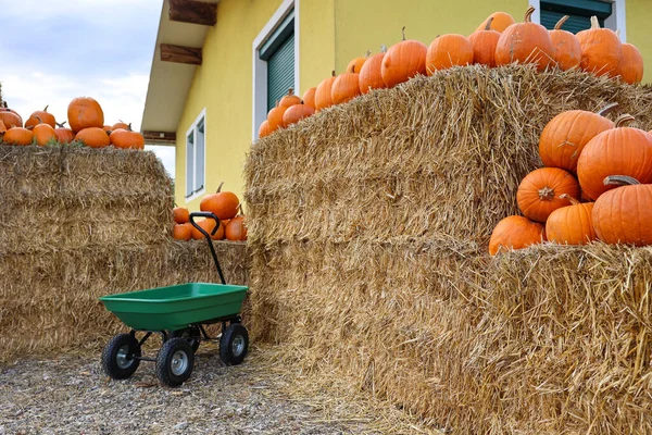 Trolley Haystacks Pumpkins Farm — Stock Photo, Image