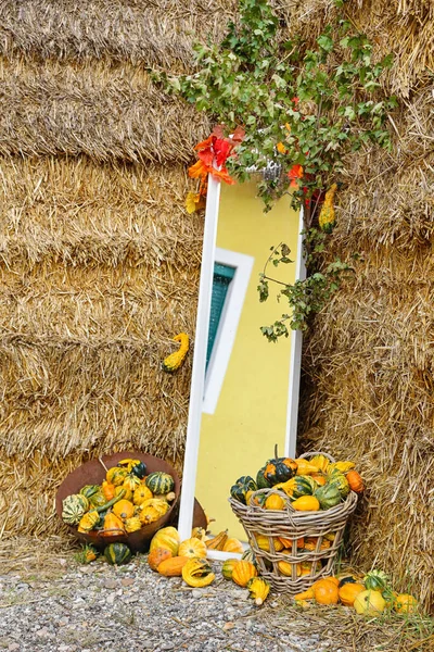 Mirror Fresh Pumpkins Haystacks Farm — Stock Photo, Image