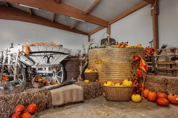 Fresh Pumpkins Haystacks Trolley Barn — Stock Photo, Image