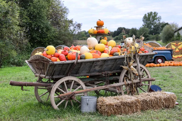 Old Trolley Fresh Pumpkins Farm — Stock Photo, Image