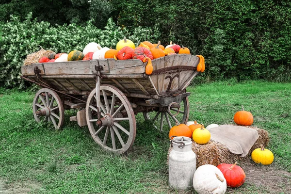 Old Trolley Pumpkins Haystack Farm — Stock Photo, Image