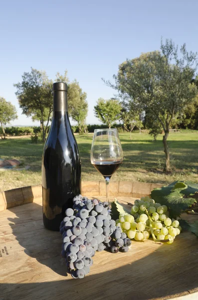 Wine and grapes — Stock Photo, Image