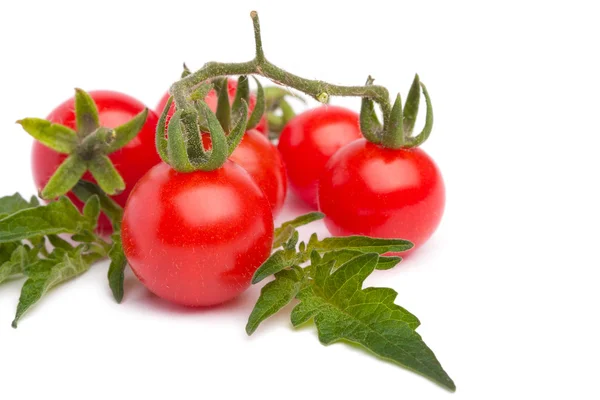 白色背景的小樱桃番茄 — 图库照片