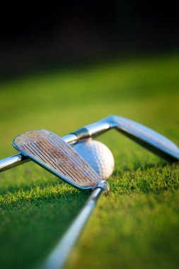 golf sahasında golf club