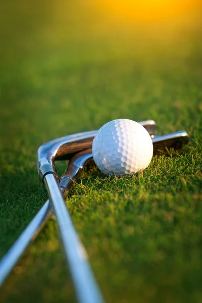 Un club de golf sur un terrain de golf — Photo