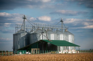 Silver silos in corn field