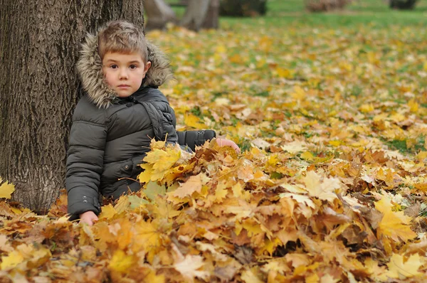 Kinder spielen im Herbstpark — Stockfoto