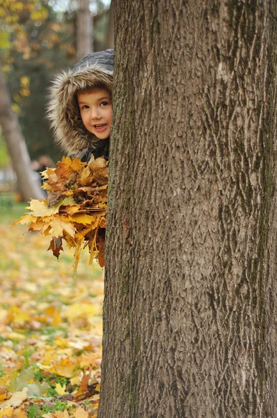 Kids playing in autumn park — Stock Photo, Image