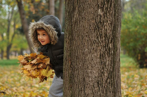 Bambini che giocano nel parco autunnale — Foto Stock