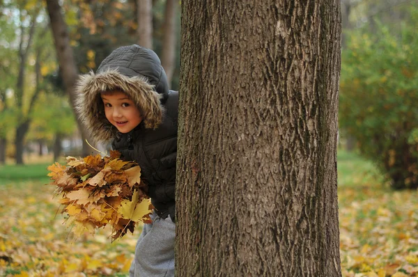 Dzieci w parku jesień — Zdjęcie stockowe