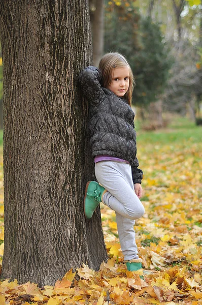 Niños jugando en el parque de otoño — Foto de Stock