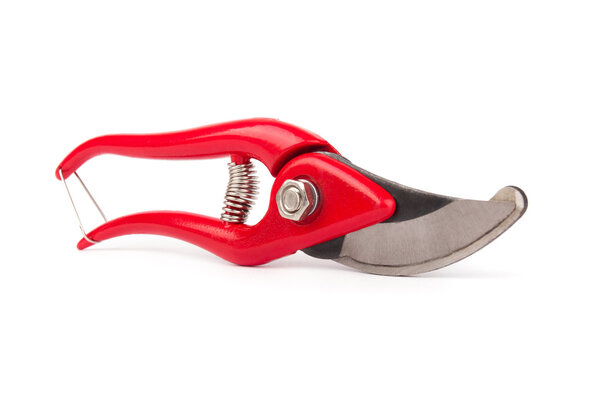 Ножницы из красного металла
