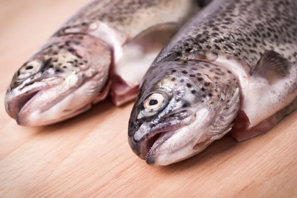 Frische Forellen lizenzfreie Stockfotos