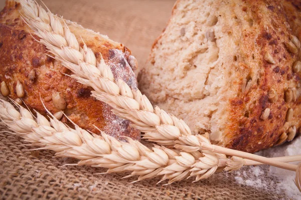 Brood en tarwe — Stockfoto