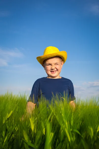 Boy in the wheat — Stock Photo, Image