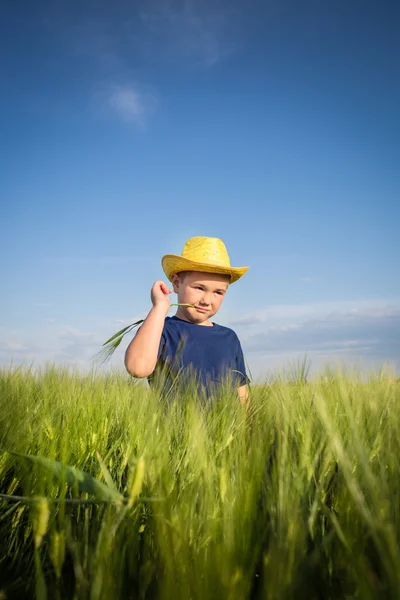 Boy in the wheat — Stock Photo, Image