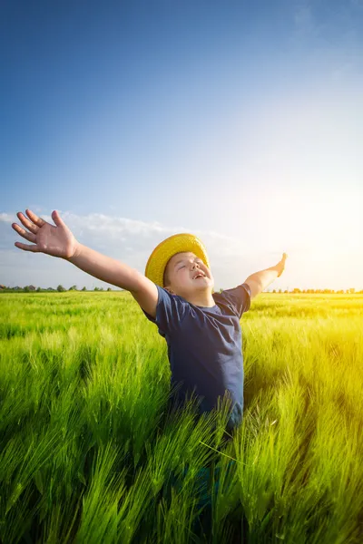 Boy in the wheat — Stock Photo, Image