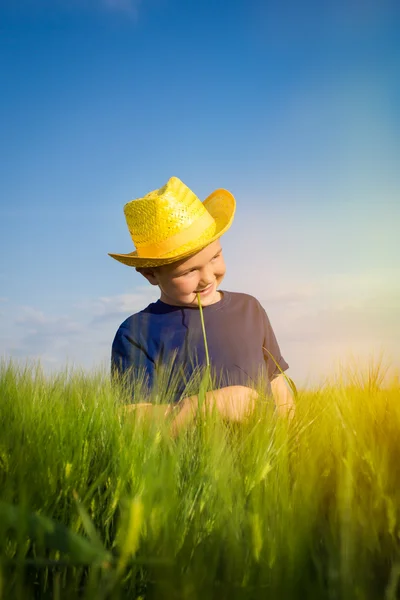 Niño en el trigo Imágenes de stock libres de derechos