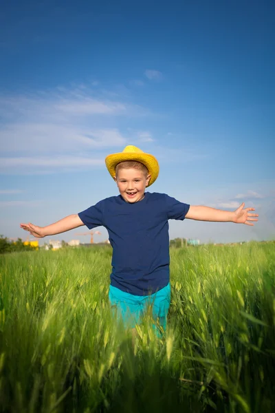 Niño en el trigo — Foto de Stock