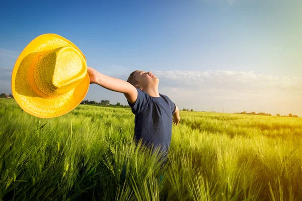 Хлопчик у пшениці — стокове фото