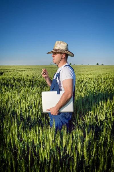 Jordbrukare i fält — Stockfoto