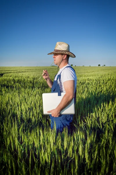 Agricultor no terreno — Fotografia de Stock