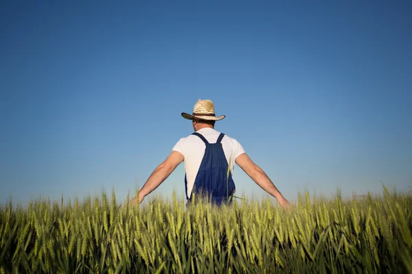 Boer in het veld — Stockfoto