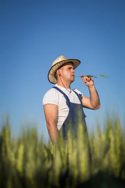 Agricultor en el campo — Foto de Stock