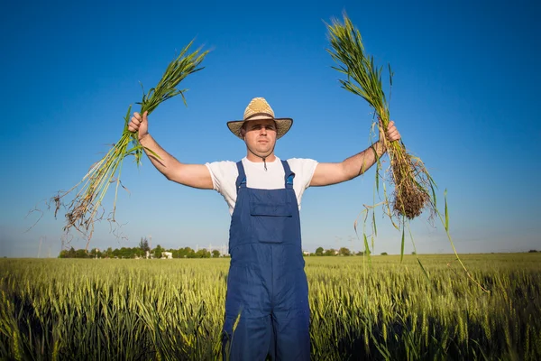 Jordbrukare i fält — Stockfoto