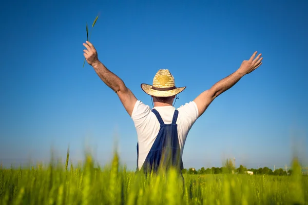 Agricultor no terreno — Fotografia de Stock