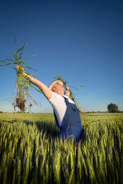 Agricultor no terreno — Fotografia de Stock