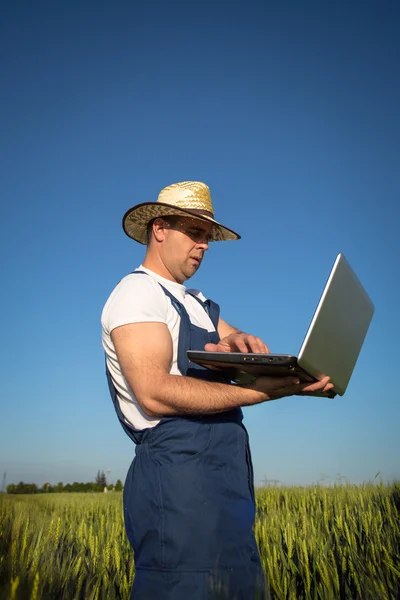 Landwirt auf dem Feld — Stockfoto