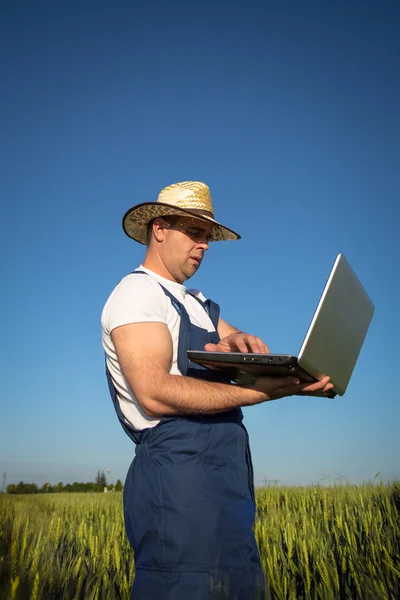 Agricultor en el campo — Foto de Stock