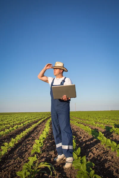 Agricultor no terreno — Fotografia de Stock