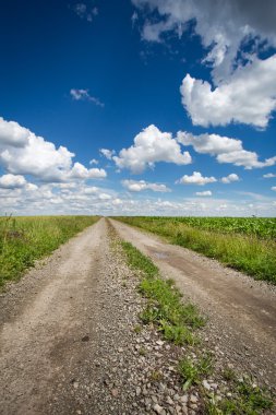 Tarlada yol ve bulutlu mavi gökyüzü
