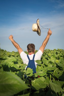çiftçi ve ayçiçeği