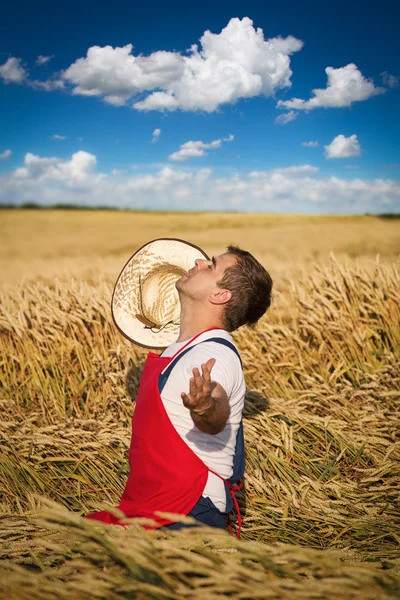 Farmer in field — Stock Photo, Image