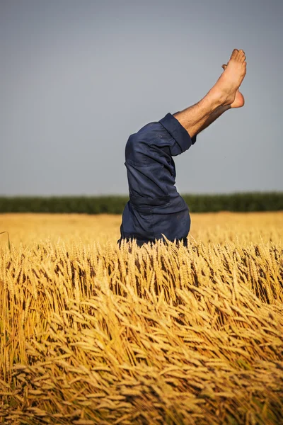 Man lying in wheat field — Stock Photo, Image