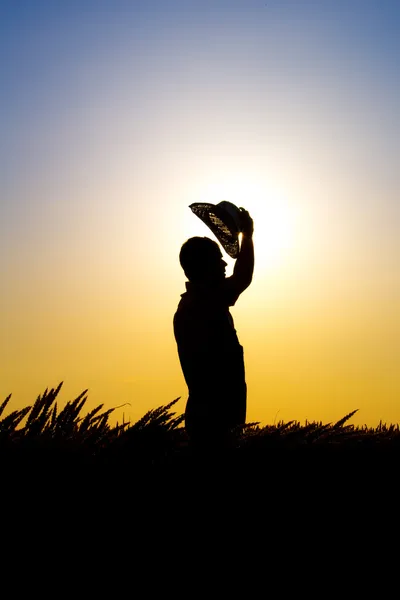 Agricultor e pôr do sol — Fotografia de Stock