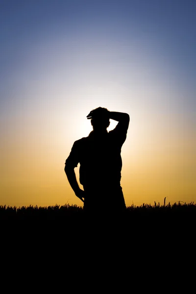 Boer en zonsondergang — Stockfoto