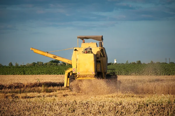Combinar cosechadora trabajando un campo de trigo —  Fotos de Stock