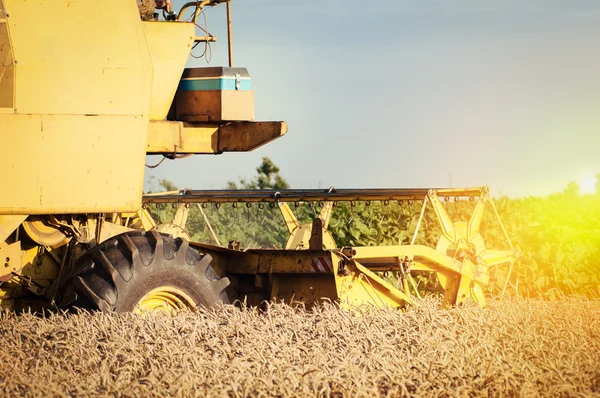 Combina la mietitrebbia che lavora un campo di grano — Foto Stock